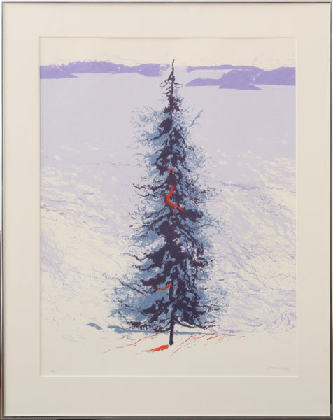 Jan Stenvinkel (1933-1989)