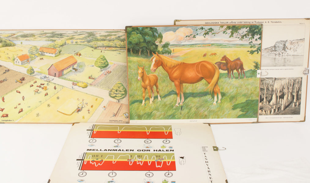 Äldre skolplanscher 4st