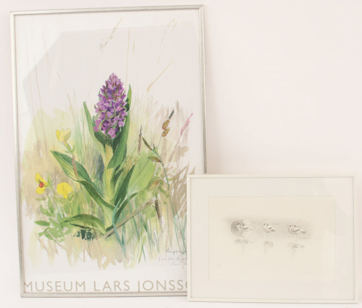 Lars Jonsson (f.1952)