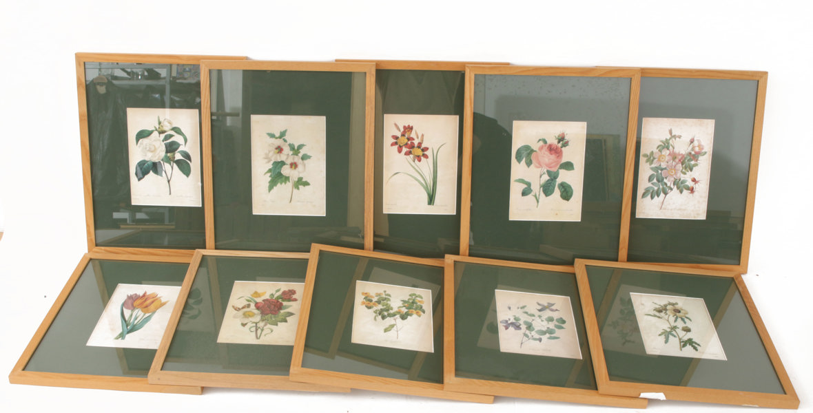 Grafiska blad 10st, efter JP Redoute, 1900-tal