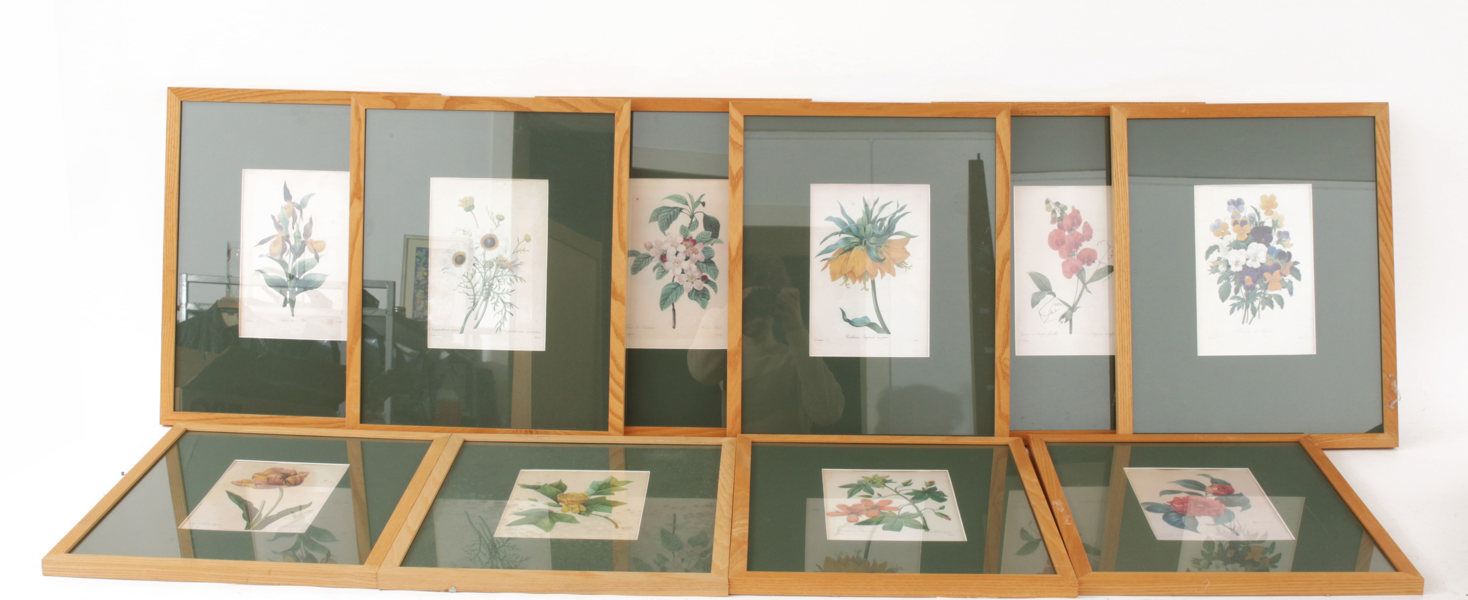 Grafiska blad 10st, efter JP Redoute, 1900-tal