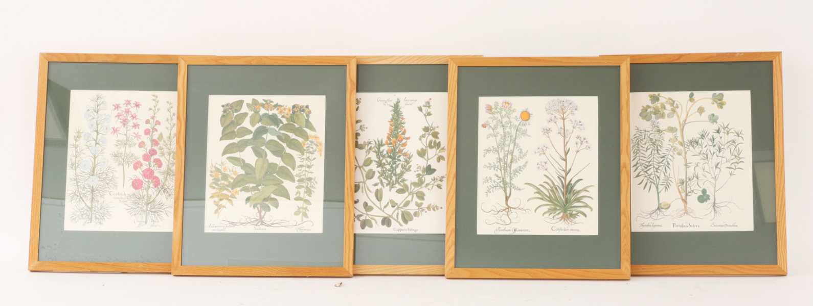 Grafiska blad 5st, 1900-tal