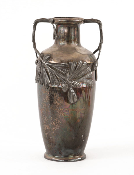 Vas, jugend, Kayser, 1900-talets början