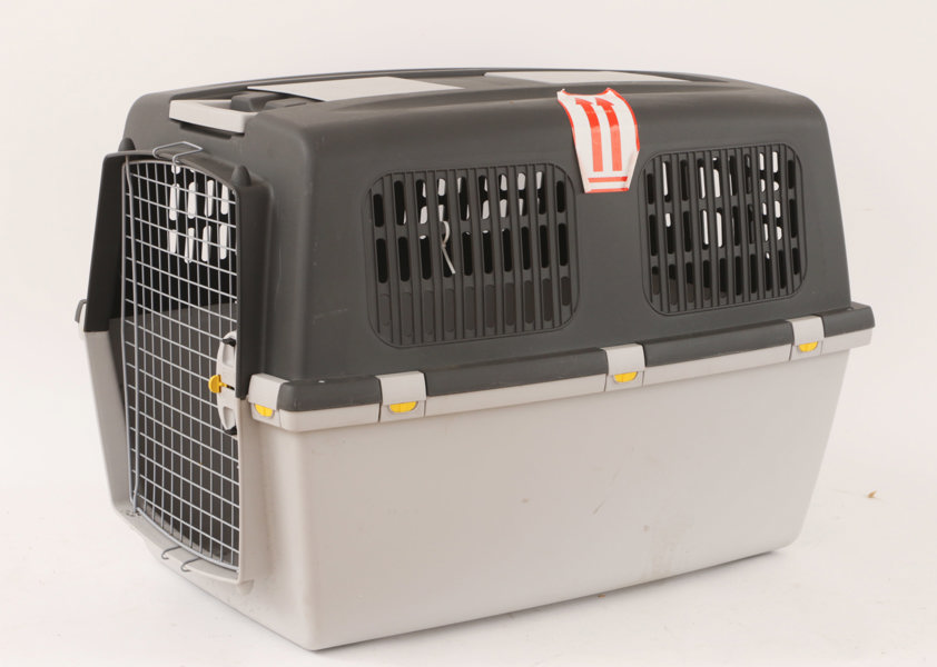 Transportbur för hund