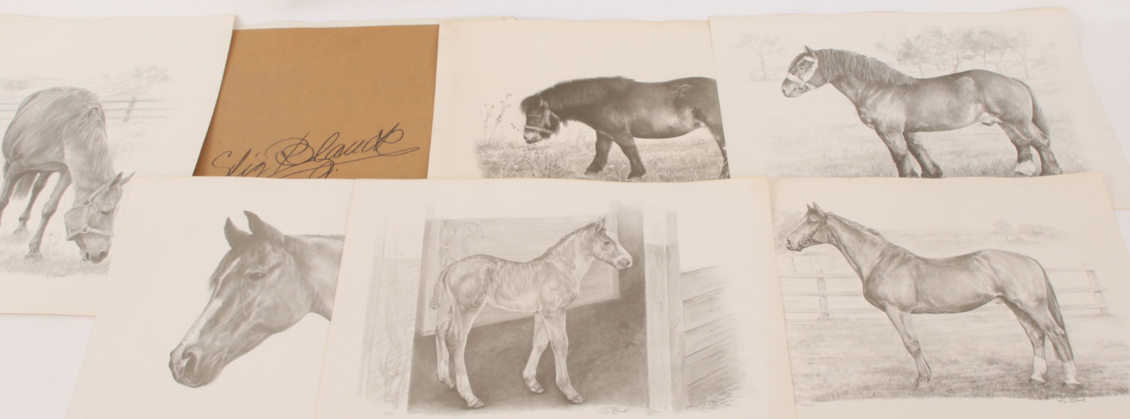 Stig Blanck (f.1930)