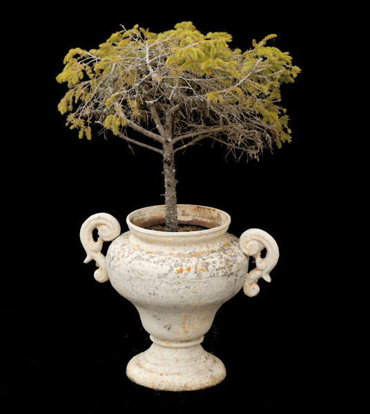 Trädgårdsurna, 1900-tal