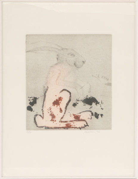 Suzanne Nessim (f.1944)