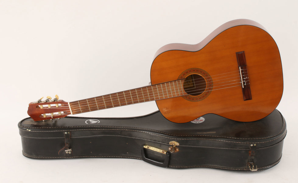 Akustisk gitarr, Ariana A460