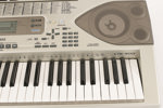 Elpiano, Casio CTK-900