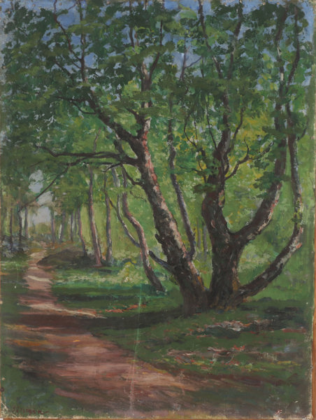 Sophie Södergren (1847-1923)
