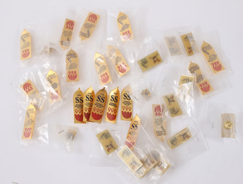 Parti pins, Skidspelen i Falun