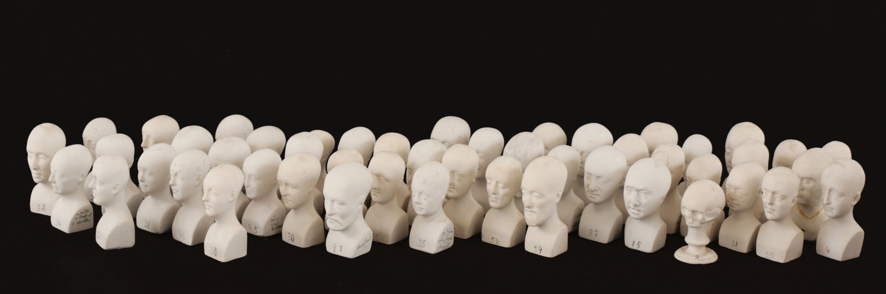 Frenologiska modeller 54st, 1800-tal