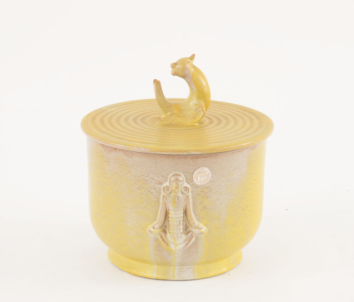 Terrin med lock, Kupittaan Savi, Finland