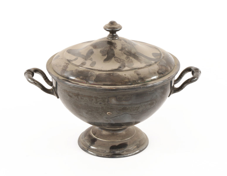 Terrin med lock, 1900-talets början