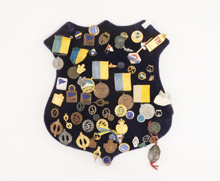 Medaljsköld med märken