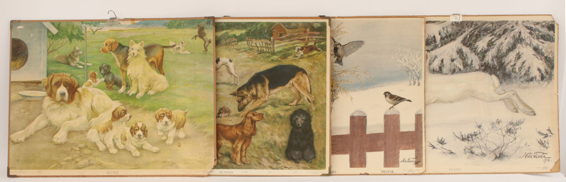 Skolplanscher 4st, omkring 1900-talets mitt