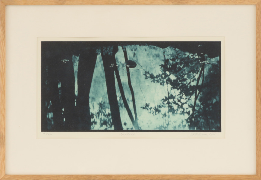 Jukka Vänttinen (f.1954)