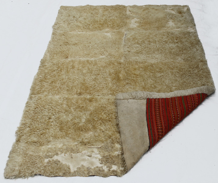 Åktäcke, 18/1900-tal