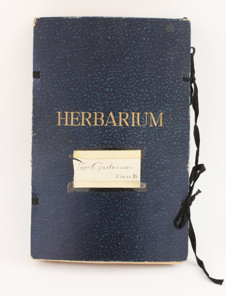 Herbarium, 1940-tal