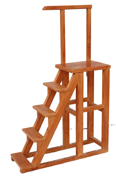 Biblioteksstege, 1900-tal