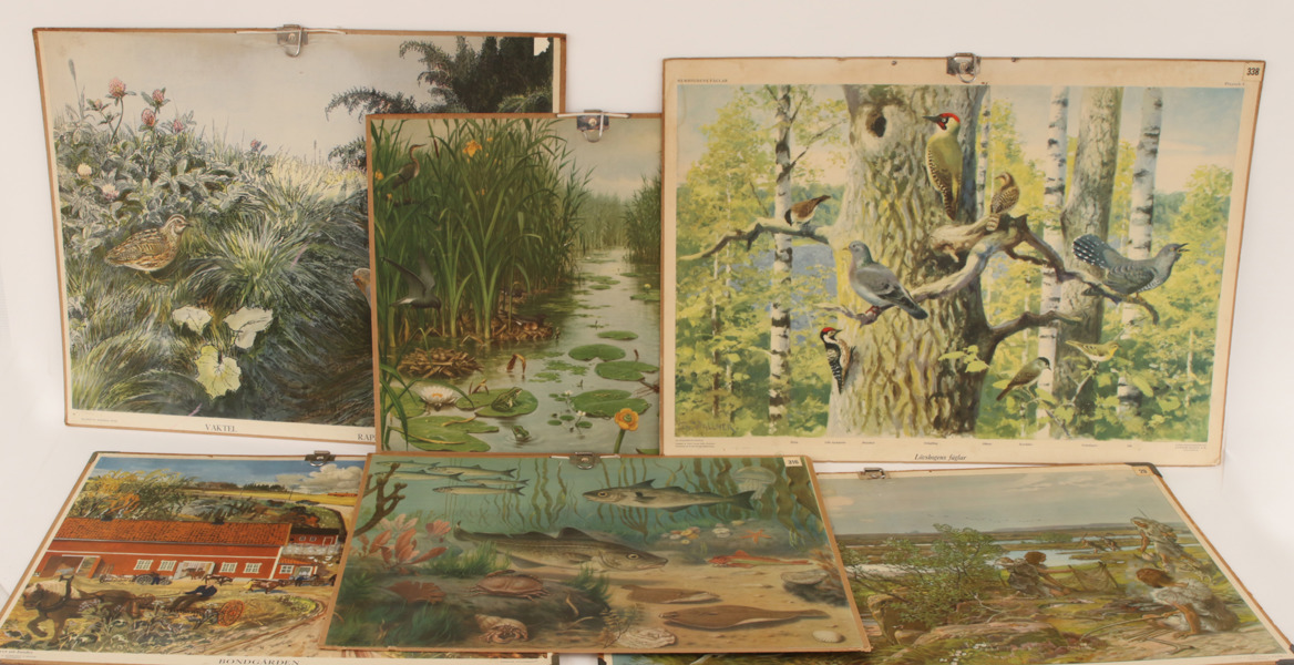 Skolplanscher 6st, omkring 1900-talets mitt