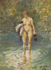 Anders Zorn, kopia efter
