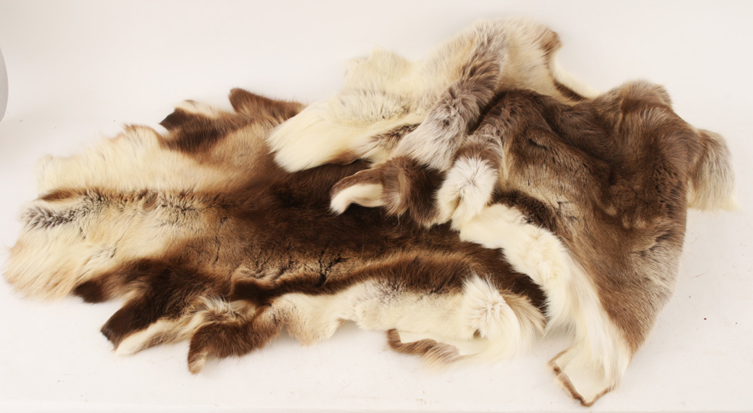 Renfällar 2st, JAAB, Borås