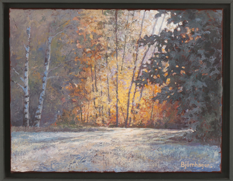 Anders Björnhager (f.1956)