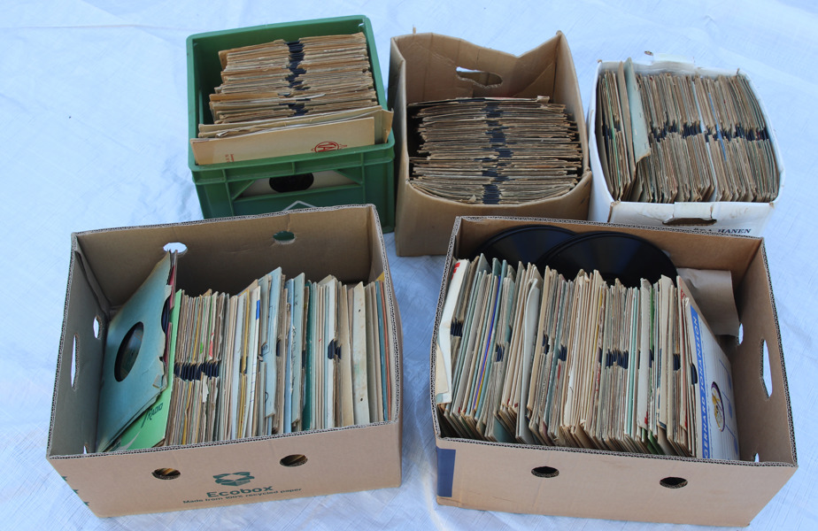 Stort parti stenkakor