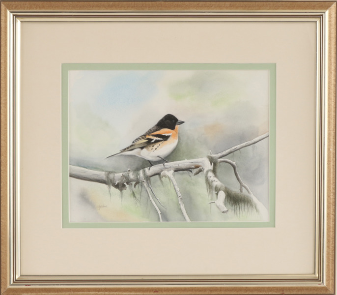 Staffan Ullström (f.1949)