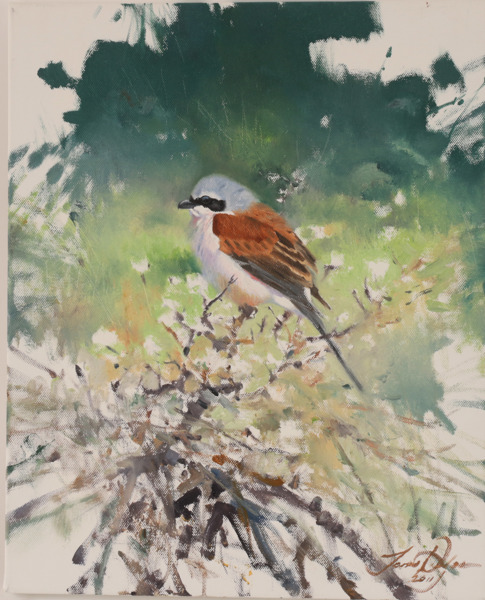 Jonas Nilsson (f.1968)