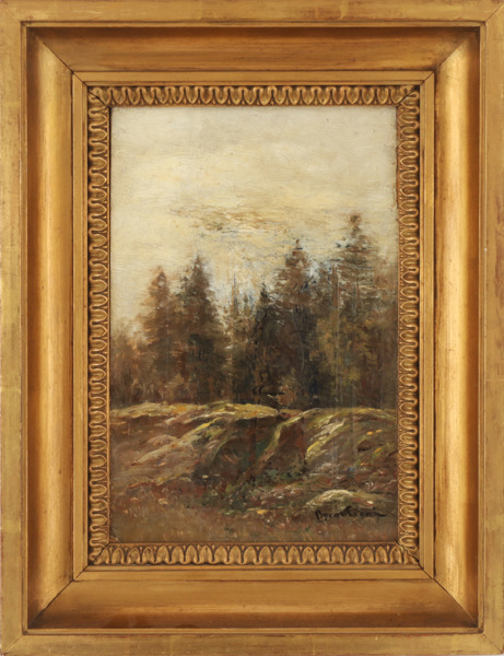 Oscar Törnå (1842-1894)