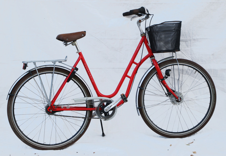 Damcykel, Skeppshult, Natur