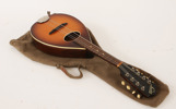 Mandolin, Levin