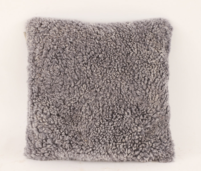 Kudde, Stolab, 2000-tal