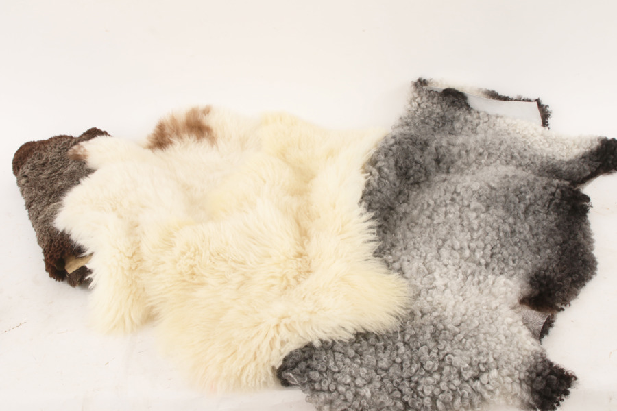 Fårfällar 4st, bl.a. Donniaskinn, Tranås