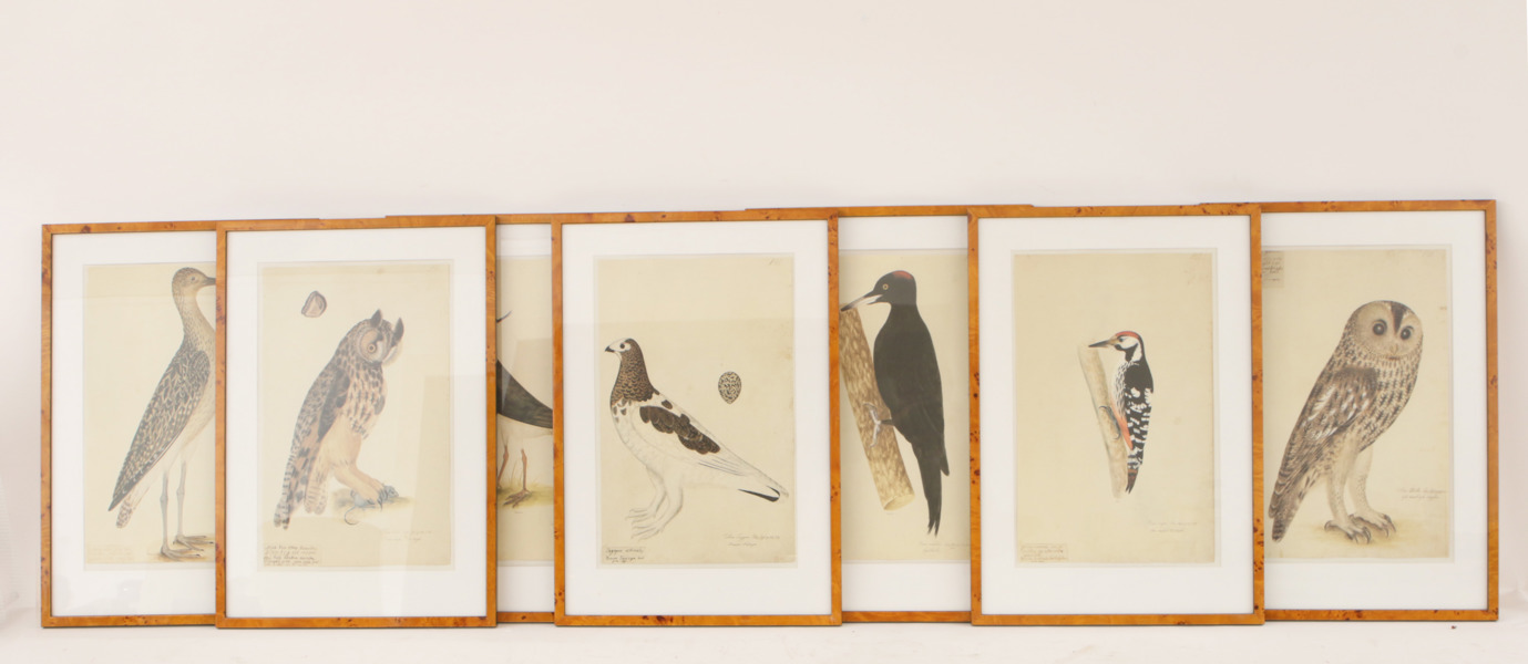 Grafiska blad 7st, 1900-tal