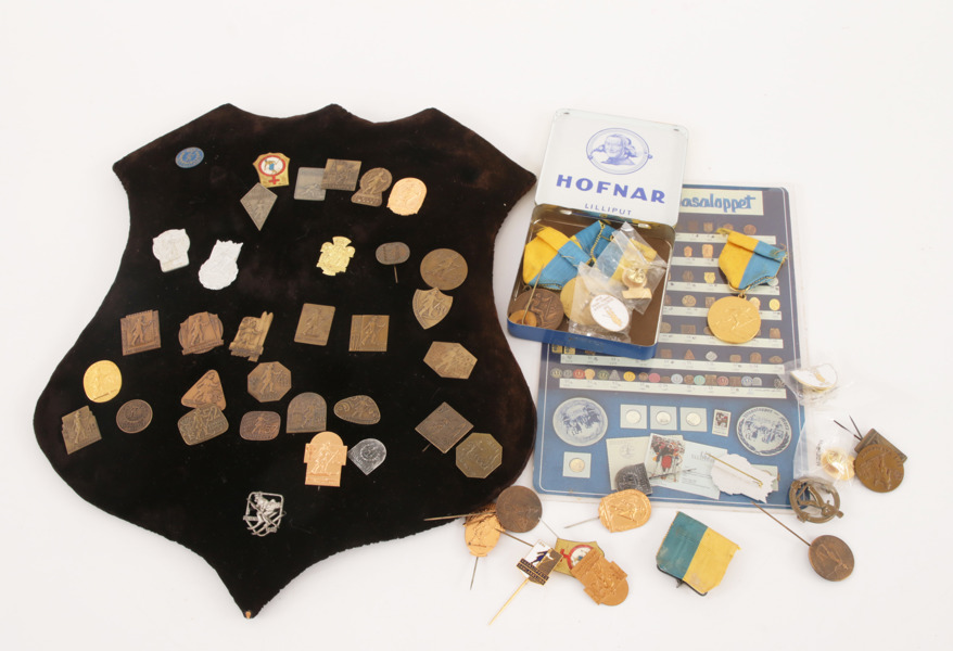 Parti pins, Vasaloppet