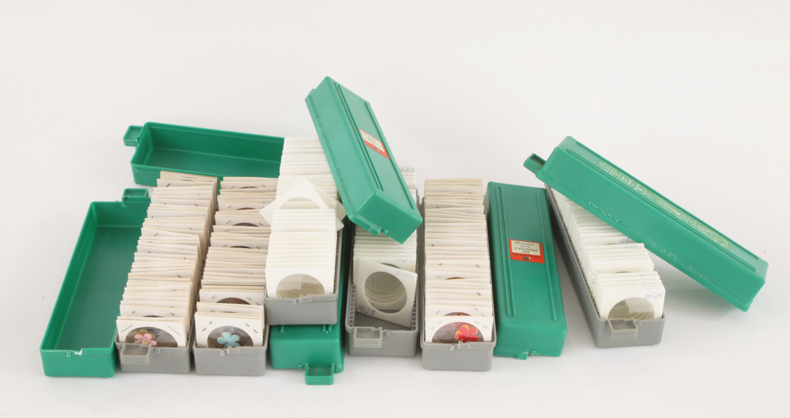 Parti majblommor och tomma kasetter