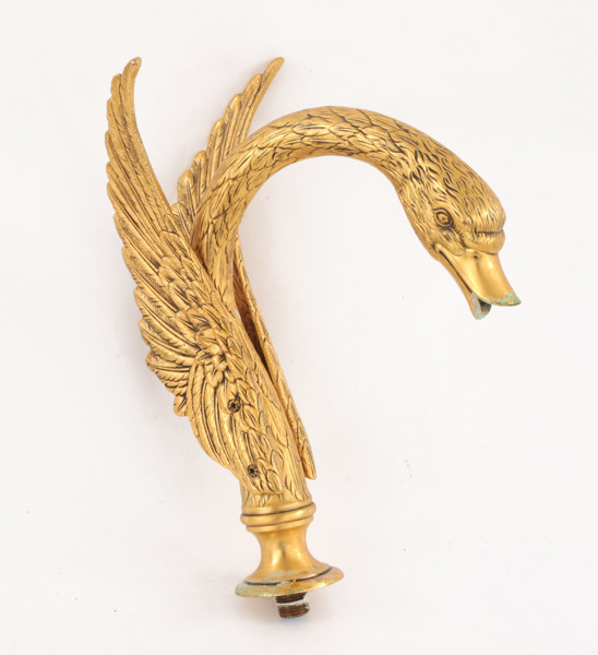 Badkarssvan, Phylrich