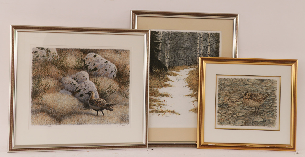 Lennart Sand (f.1946)