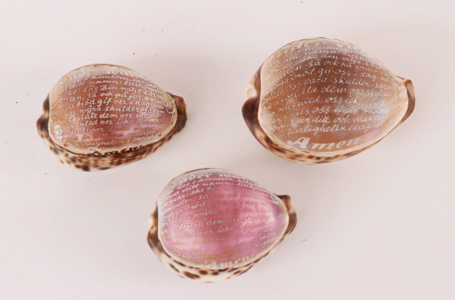 Snäckor 3st, 18/1900-tal