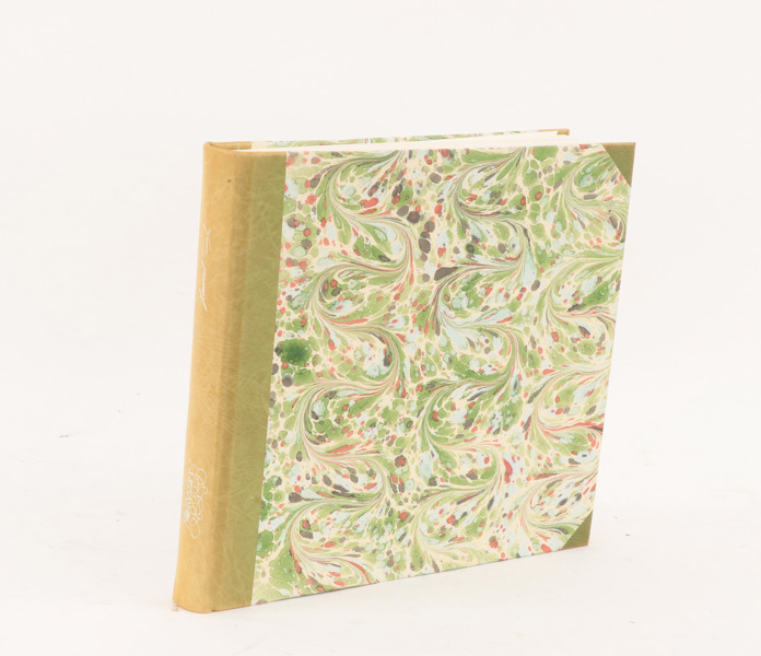 Bok, "Skisser efter naturen och ritade på sten", Lennart Sand