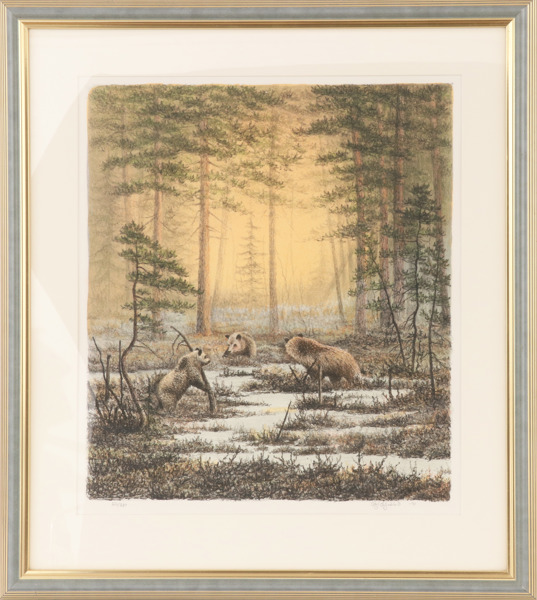 Leif Liljeblad (f.1950)