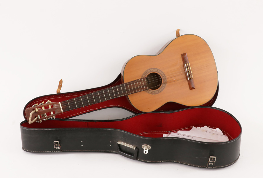 Akustisk gitarr, Ibanez, modell 313