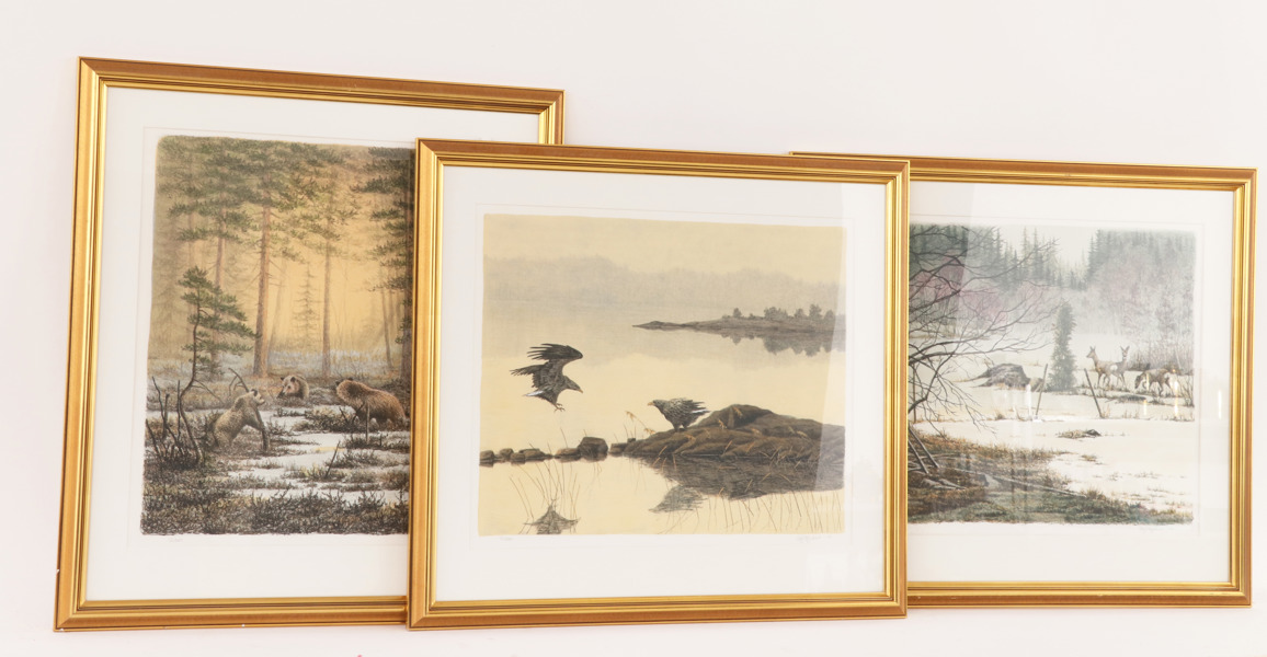 Leif Liljeblad (f.1950)