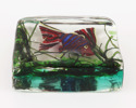 Glasblock, "Aquarium", Murano, Italien