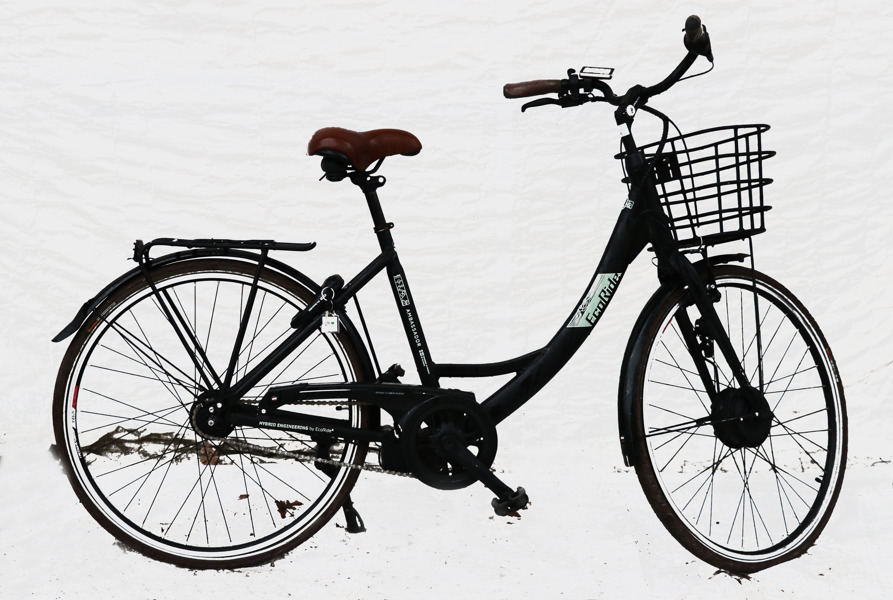 Elcykel, Ecoride, Ambassador