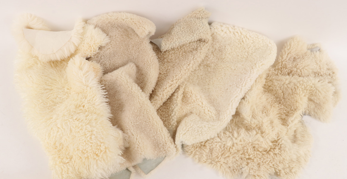 Fårullsfällar 5st, bl.a. Skinnwille