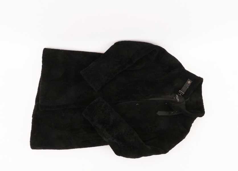 Damjacka, Hollies, Stockholm